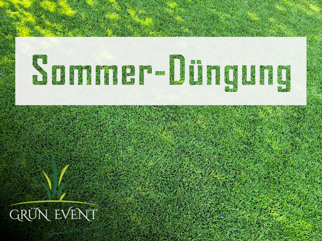 Sommerdüngung - wann & warum ? 